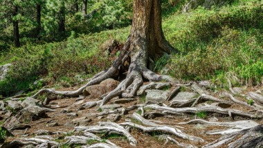 L’igiene con acqua: come Geberit AquaClean aiuta a ridurre l’uso di legno