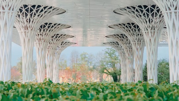 È stato creato un giardino di quasi 300 m² lungo l'imponente edificio (© Alek Małchowski).